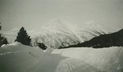 Battenfjordsfjellet i Møre og Romsdal 1923-1924