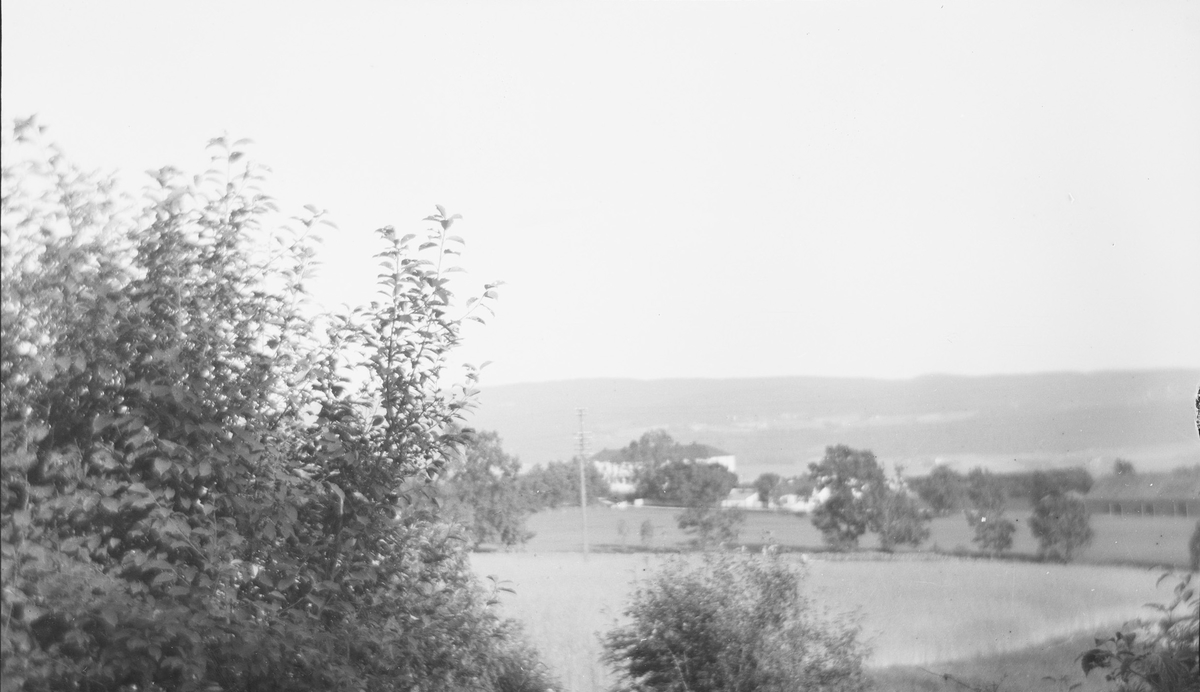 Linderud Gård med bl. a. drivhus ligger i et landskap av åker og eng.
