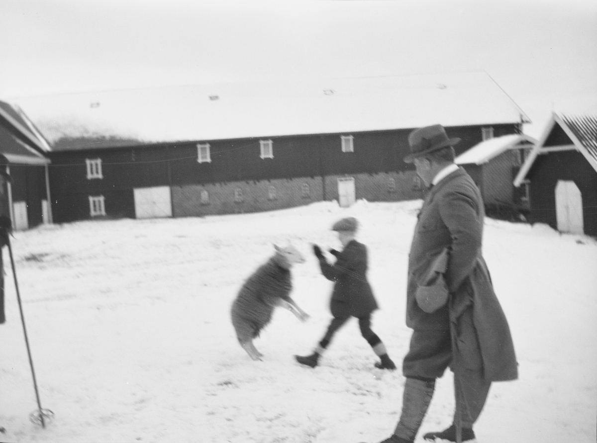 Christian Pierre Mathiesen står i profil, en vinterdag, på plassen mellom driftsbygningene på  Linderud Gård. Han ser på gutt som får en sau til å stå på to ben.