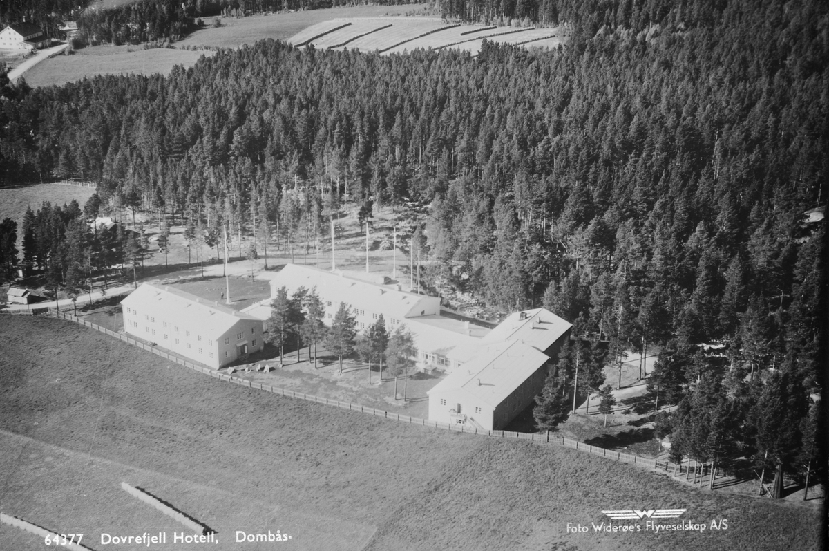 Dovrefjell Hotel, Dombås, Dovre, 15.09.1953, jordbruk, hesjing, barskog, grunnlag for postkort