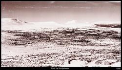 Parti fra Storefjellseter