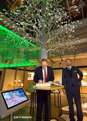 Fra åpningen av utstillingen «Det fantastiske treet» på Nors