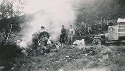 Smaledrift før i tida. Heimturen frå Sirdal/Setesdalsheiane 