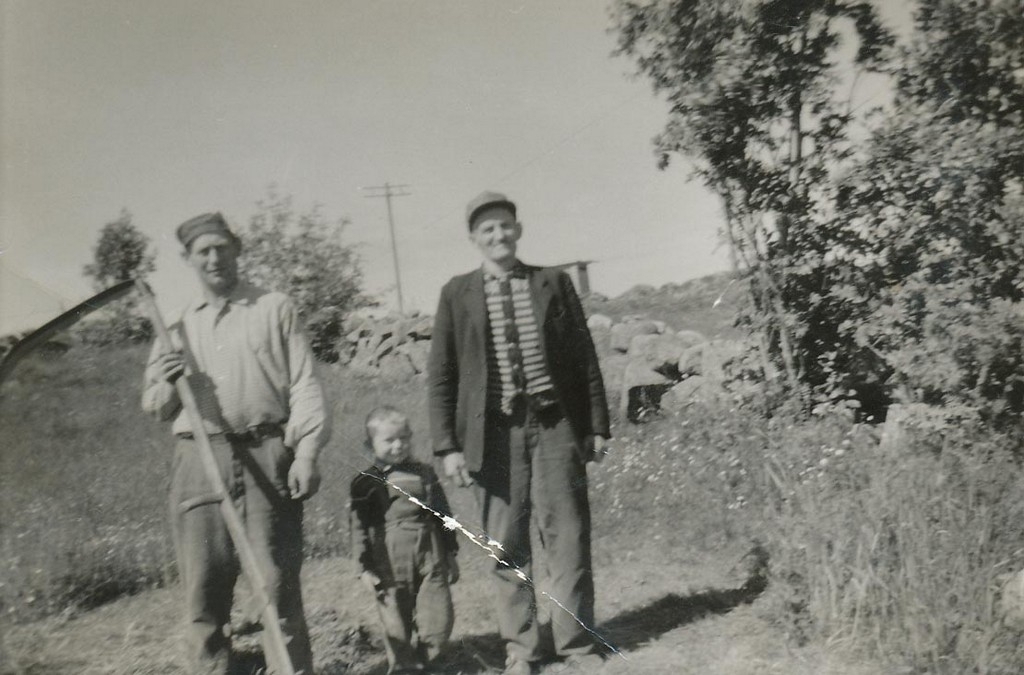 3 generasjonar Tunheim på Lende bruk 14. Frå venstre Trygve Tunheim (1914 - 2002), Torleif Tunheim (1958 - ) og Martin Tunheim (1884 - 1964)