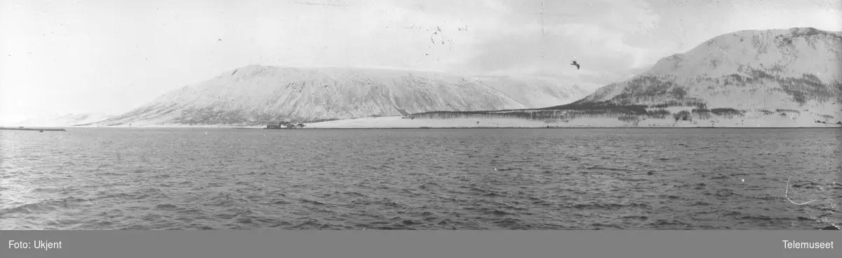 Telegrafdirektør Heftyes reise i Nord- Norge 1911. Tromsøysund 22.mars.