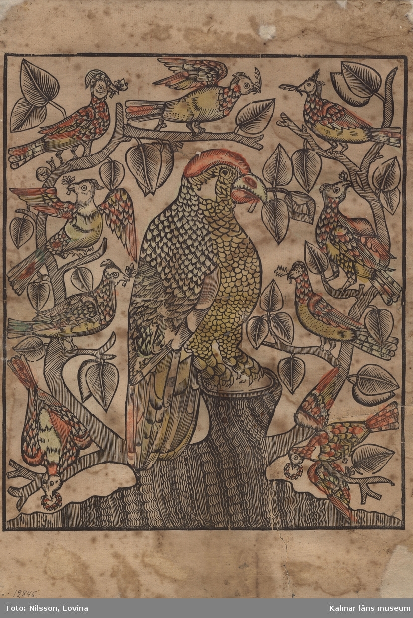 I mitten en papegoja med blad i näbben, sittande på en trästubbe (lind?), från vilken grenar går ut på sidorna, på dessa grenar sitter nio andra fåglar alla med en kvist eller krans i näbben.
