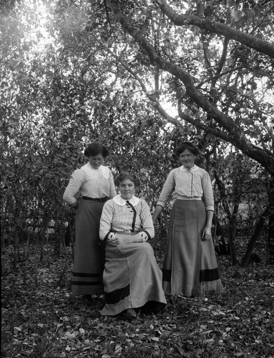 Tre kvinnor i trädgården, Uppland i början av 1900-talet