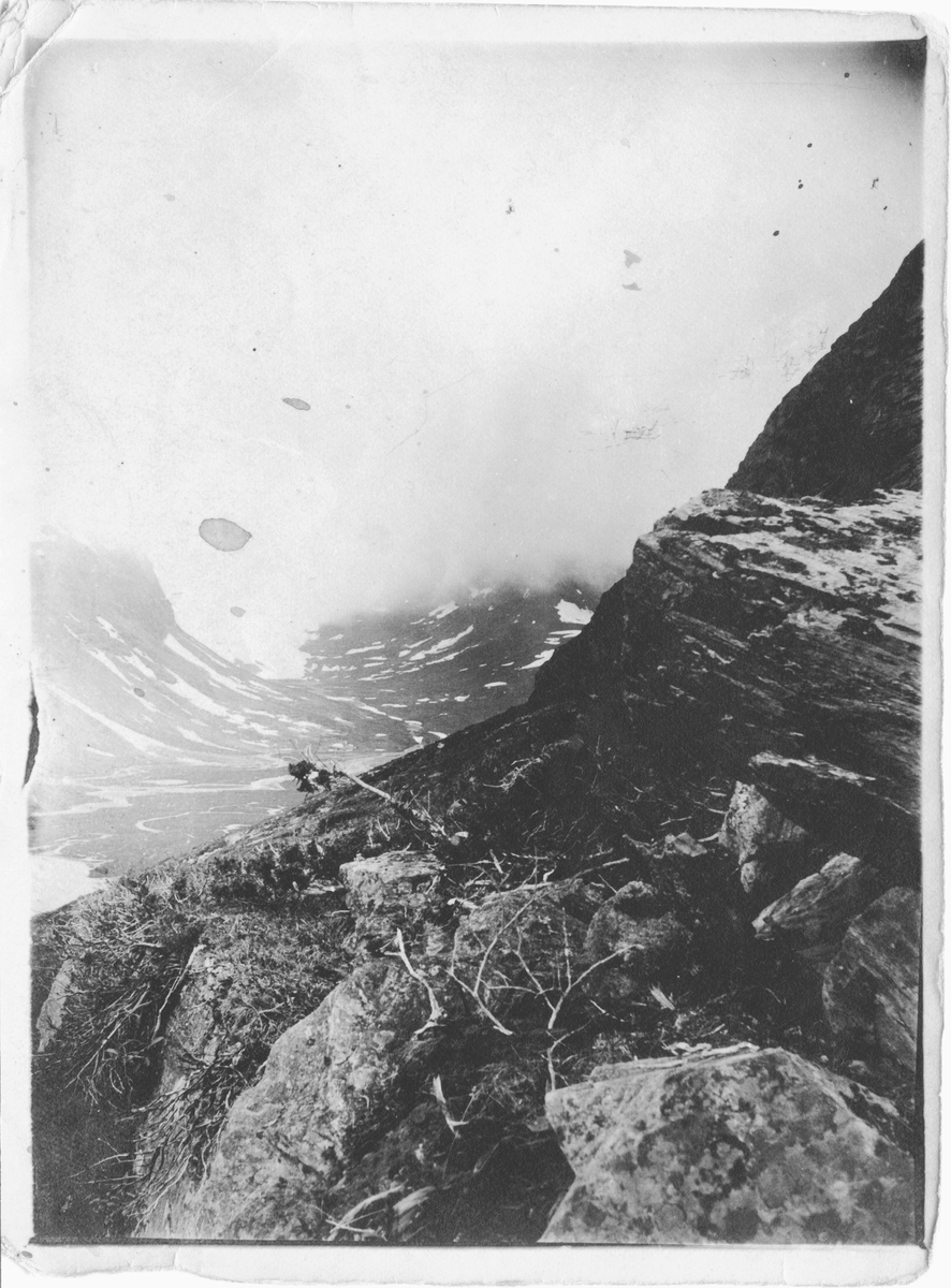 John Bauers Lapplandsresa sommaren 1904. Utsikt över Kårsådalen.