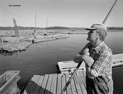 Tømmeropptak fra Bjørnstadbrygga ved Femsjøen i Halden i Øst