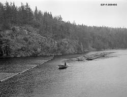Sleping av tømmer over dammen ved Brekke kraftverk mot innlø