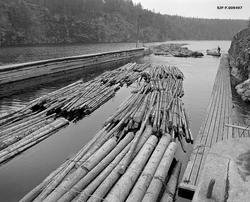 Tømmer i og ovenfor innløpskanalen til Brekke sluser i tidli