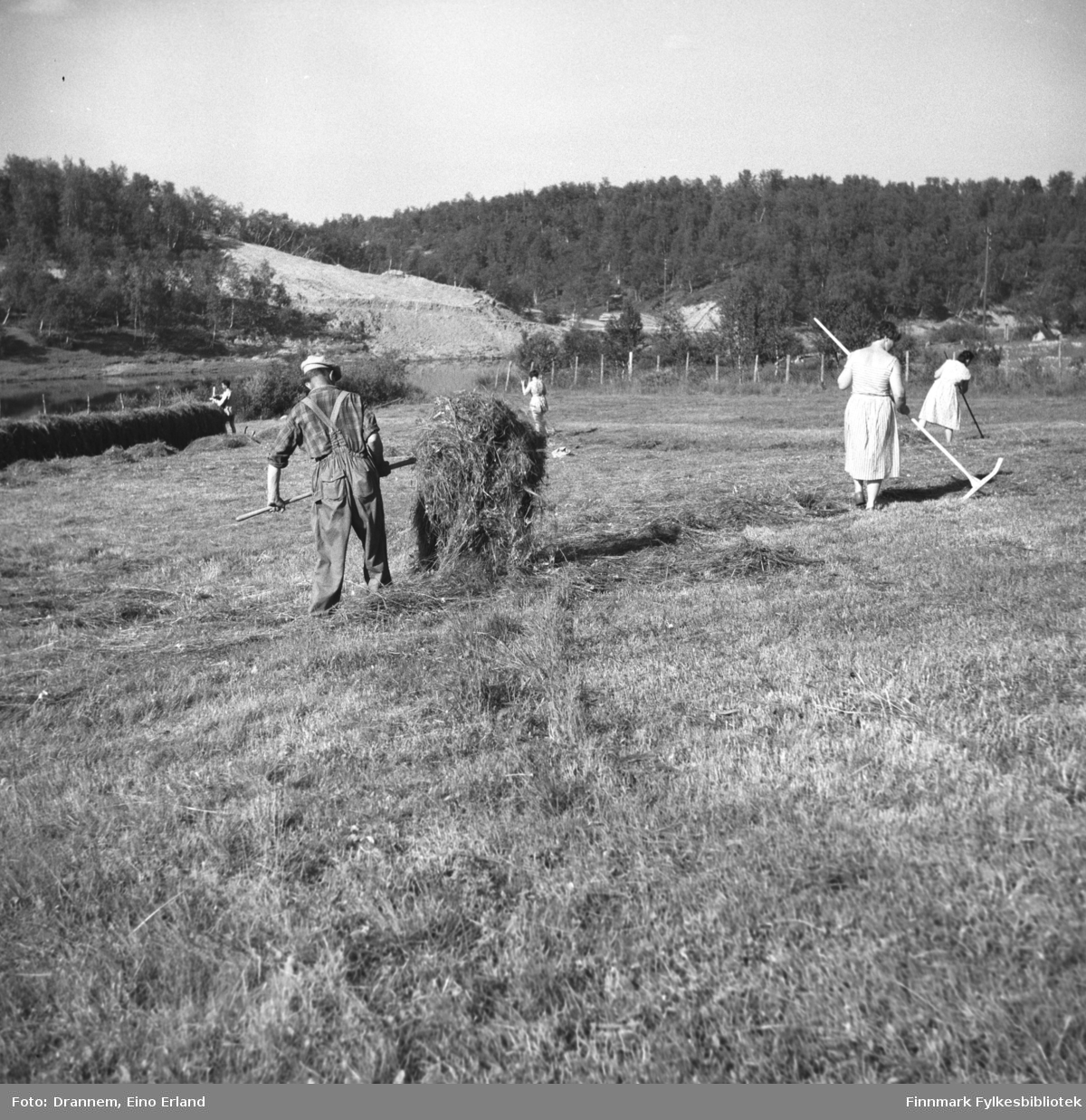 Fem personer i slåttearbeid på et jorde i Neiden. Nærmest kamera, med ryggen til, står Uuno Lappalainen.