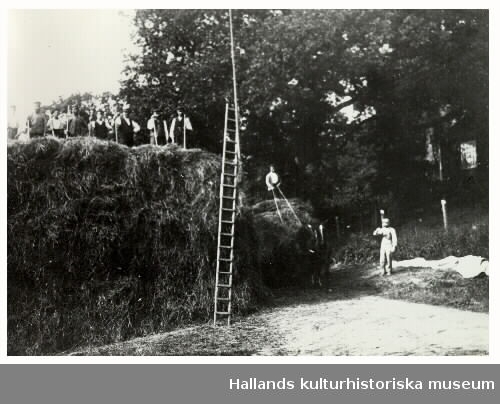 "Höbärgning. Inkörning av hö på Kullagård, Veddige, 1910-1920.Bilden ingick i Museets i Varberg bildtävling/utställning, ""Byakistan"", 1975.  Se VMA11638: serie F5."