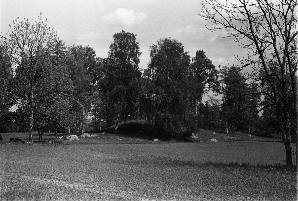 Gravfält vid Stavby kyrka, Stavby socken, Uppland 1987