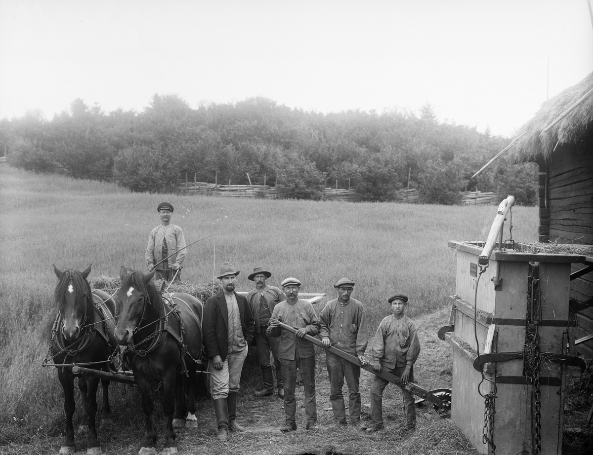 Män och hästar, Uppland 1910-tal