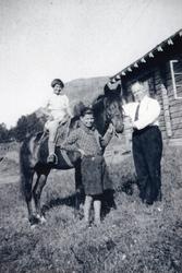 Vigdis, Gunnar-Helge og Erling Hafto med ridehesten "Frida" 