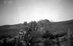 Bilde av restene etter et gammelt steingjerde mellom gården 