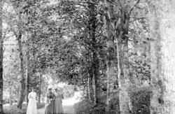 Søstrene Werring, med Caroline Knudtzon i spissen? Sannsynli