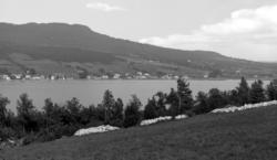 Postkort:  "Eidsvaag"
På bildet ser vi ei kjent bygd i Møre 