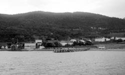 Foto fra ei bygd
usikkert hvor. Kan det være fra Nesset komm