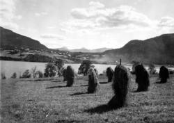 Høystakker , med fjord , og bygd i bakgrunnen. (Fra Nordmøre