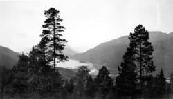 Landskapsbilde. Fra Nordmøre Museum sin fotosamling.