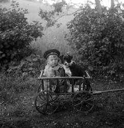 Foto av et lite barn sittende i en liten trekkvogn sammen me