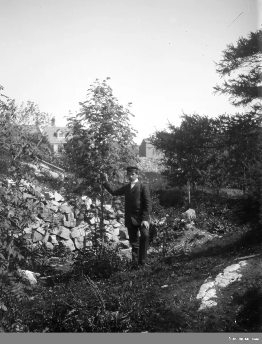 Foto av en mann, stående ved en steinmur. Muligens fra Sverdrupfamilien/slekten, eventuelt fra deres bekjentskaper. Det er ukjent hvor bildet er tatt. Fra Nordmøre museums fotosamlinger. EFR2015