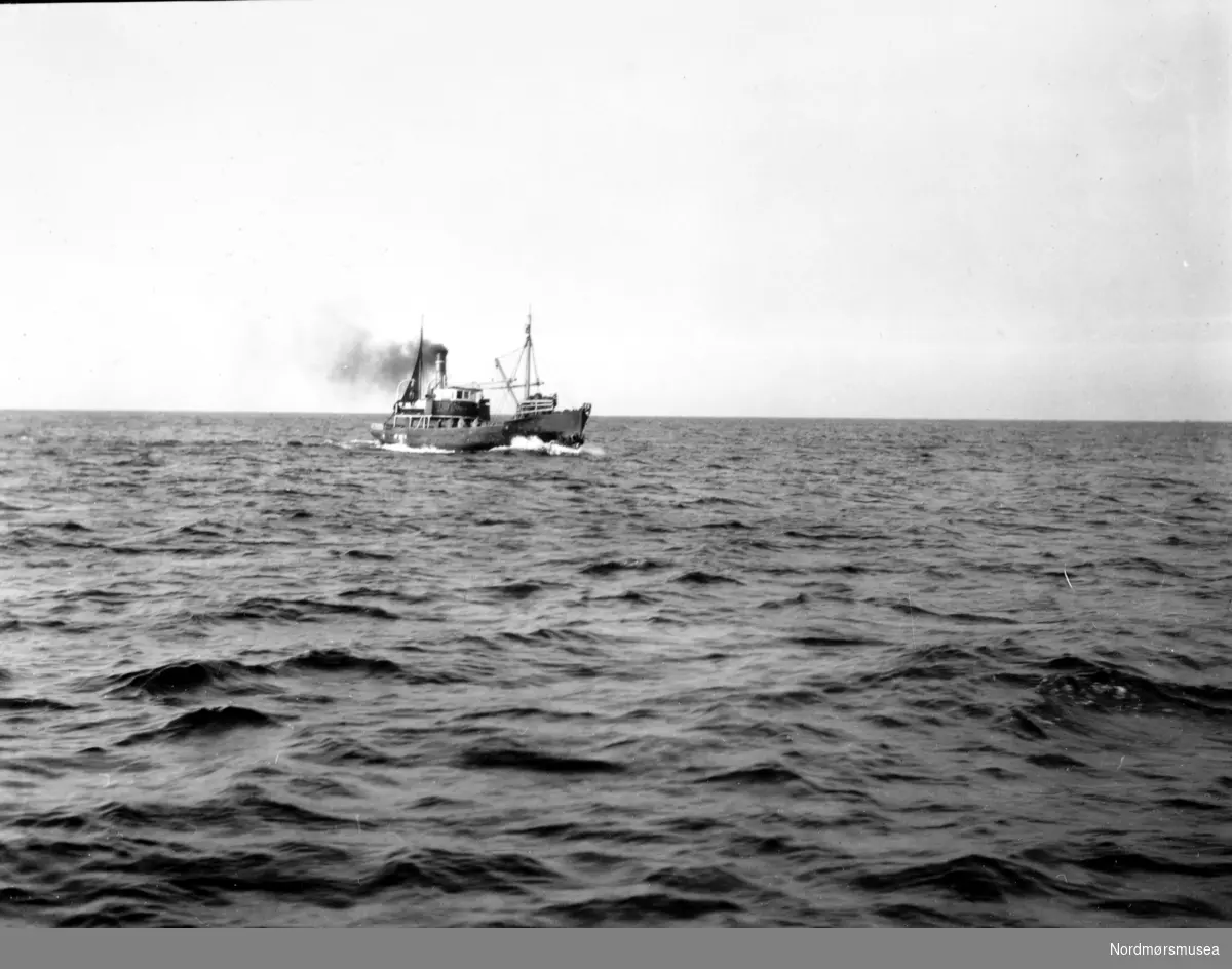 Foto nr. 25720 fra Anders Beer Wilses fotoarkiv, hvor vi ser en fiskedamper ute på sjøen. Fotoet er fra perioden rundt 1910-1930. Fra Nordmøre Museums fotosamlinger.

