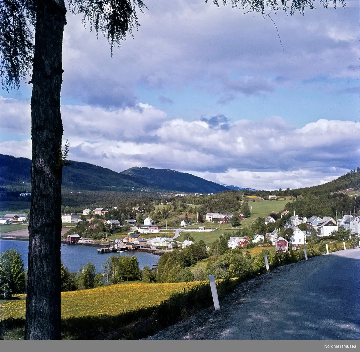 Landskapsbilde med tettstedet Tingvoll på Nordmøre i bakgrunnen.
 Portfoliodias fra fotograf Nils Willams sitt arkiv. Nordmøre Museums fotosamlinger.
