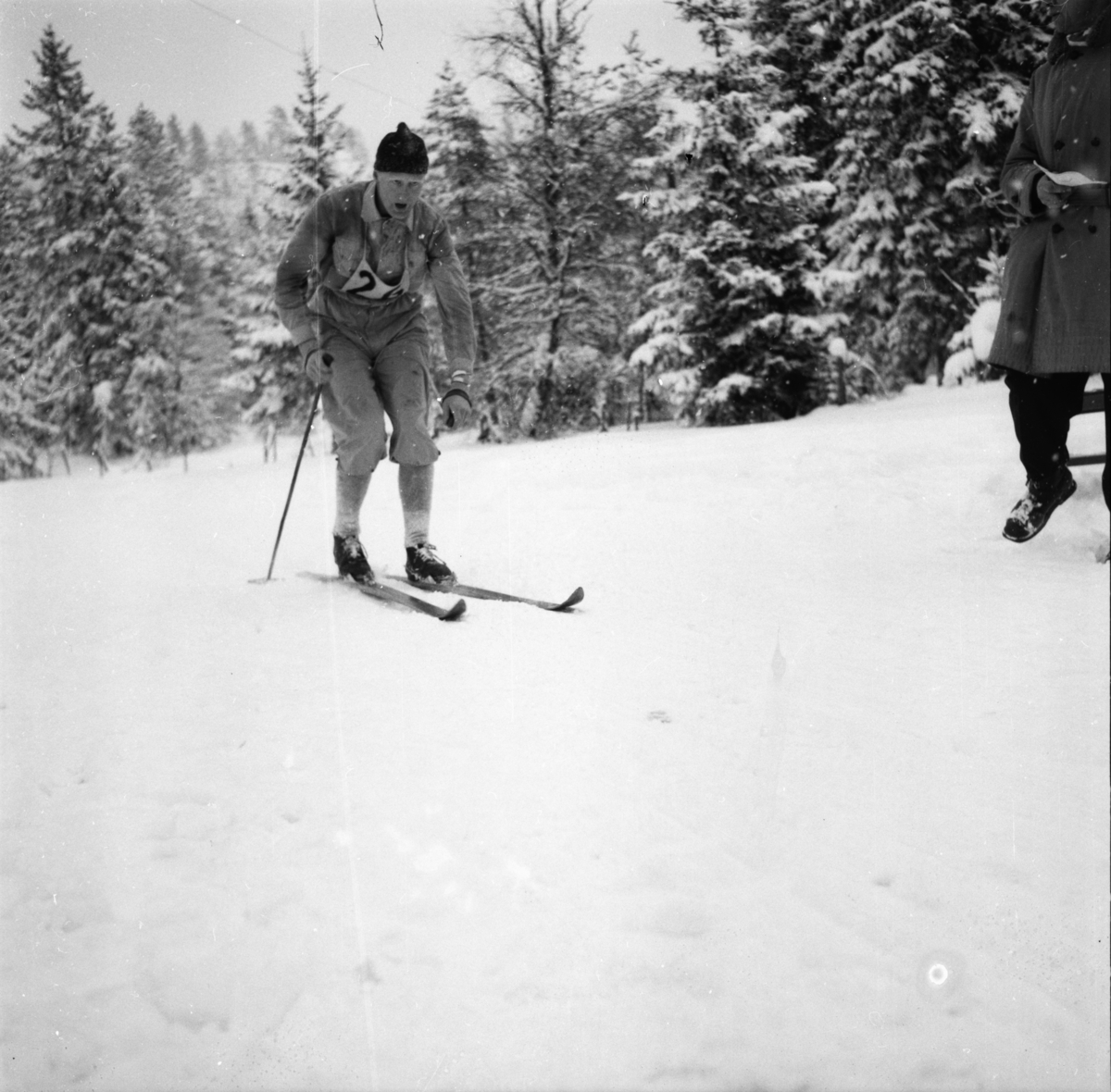 Vardens arkiv. "Politimesterskapet"  09.02.1954