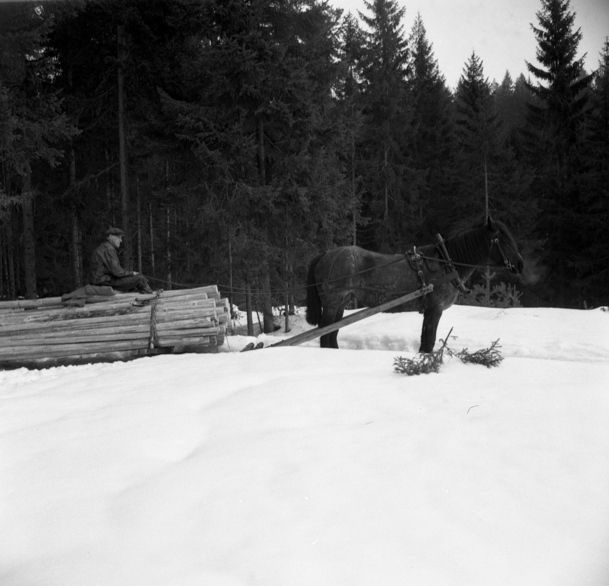 En serie bilder med anknytning till Sälboda gård tagen 55-03-22.