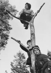 Høyt på strå. Murstad Bh