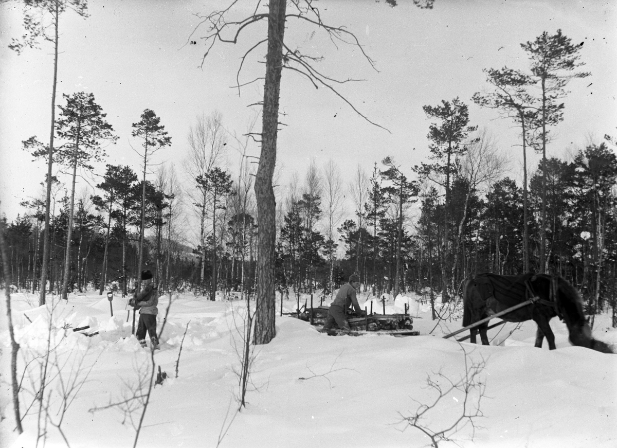 Veden körs fram från Åsmundshyttan nr 9:s hemskog. Arnold Jönsson till vänster och Joel Hansson till höger är körkarlar medan hästen Jonas drar lasset.