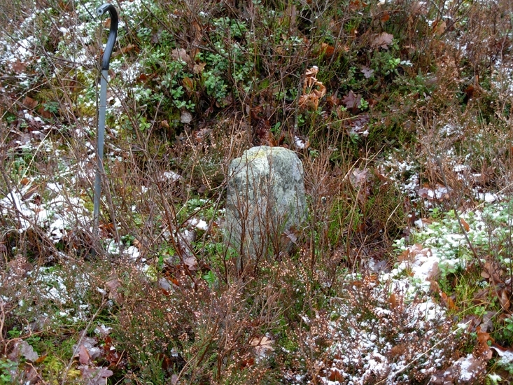Gränssten
Foto av gränsmärke i form av en rest sten.              
Raä 208 b, 2010-11-18