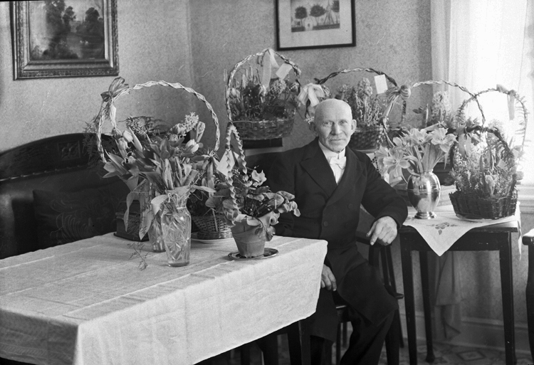Foto av en äldre okänd herre i bonjour och stärkkrage. Han sitter i ett vardagsrum, omgiven av blommor.