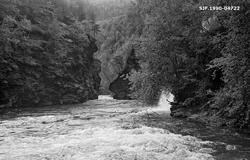 Fløtingstømmer i Loholet i elva Vinstra i Nord-Fron kommune 