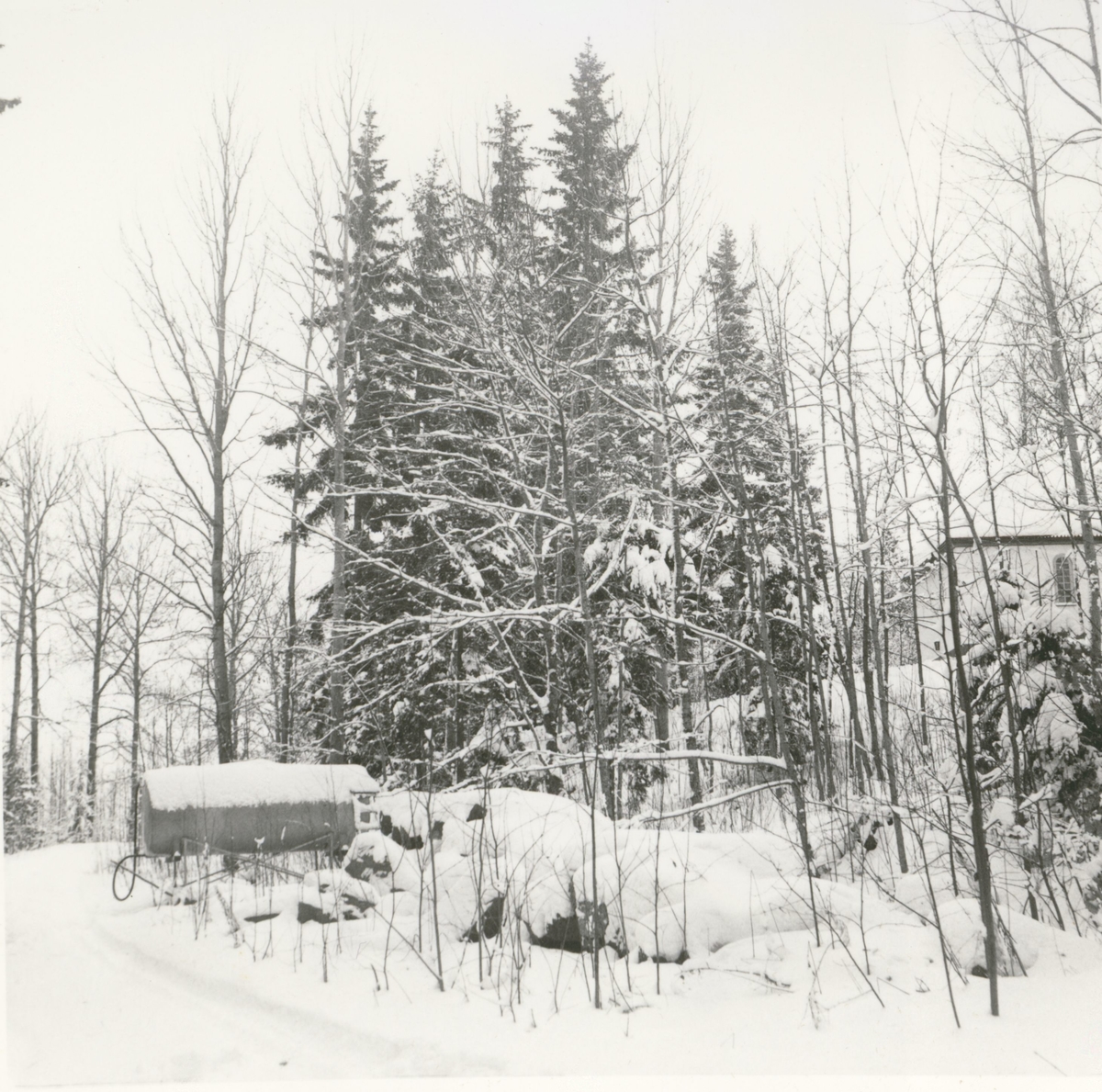 Foto från nordväst (från gamla vägen). Före avverkningen i mars 1969.
