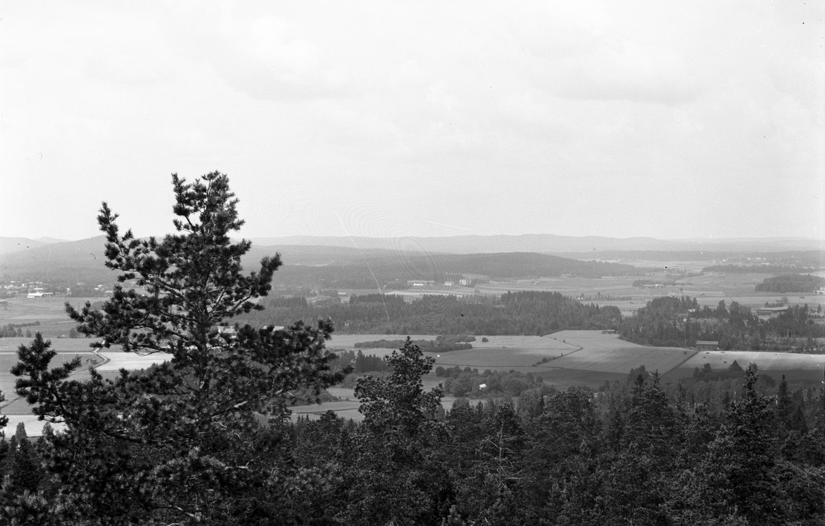 Utsikt från Klocksberg. Till vänster Sävsta by, mitt i bilden Torsåkers Ålderdomshem (Fattigvården).