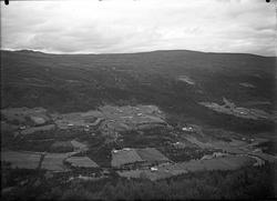 Jordbruksområde med flere gårder.