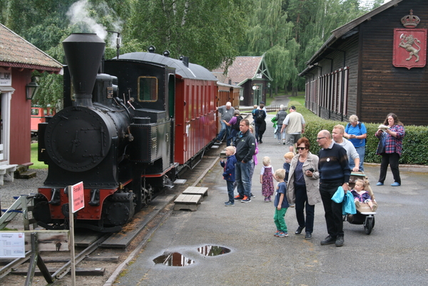<p>Norsk Jernbanemuseum eies og drives av Jernbanedirektoratet. Museet ble grunnlag i 1896 og ligger på Hamar. Det skal dokumentere og formidle den norske jernbanevirksomhetens utvikling, og bidra til økt kunnskap om jernbanehistoriske forhold.</p>