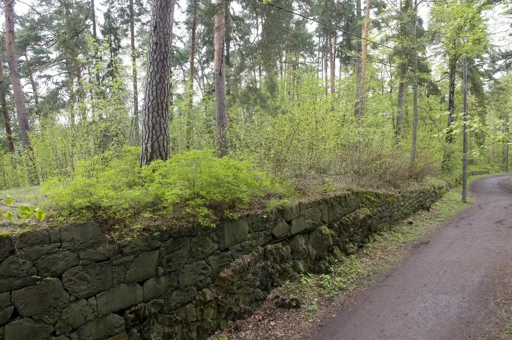 En sti i Kongeskogen. 