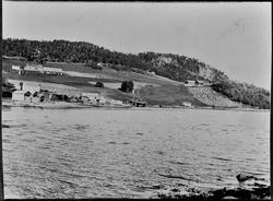 Alstad, Plassa og Teia, med den fredete storfurua.