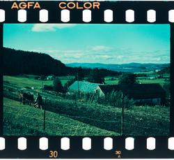 Pløying med to hester.