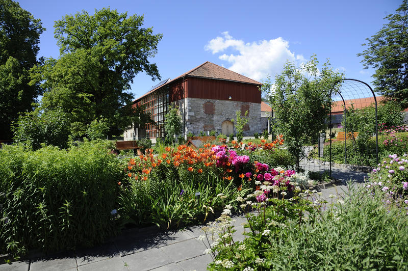 Urtehagen på Domkirkeodden er et fyrverkeri av farger om sommeren, med blant annet oransje keiserkroner og dyprosa peoner. I bakgrunnen ser vi den verdenskjente Storhamarlåven - en rød låve som er bygd om til museum av Sverre Fehn.