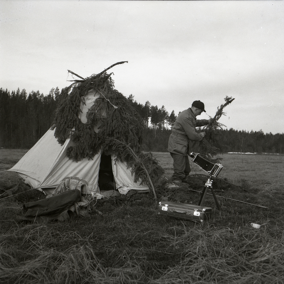 En man separerar grankvistar från varandra intill ett tält uppslaget på Degelmyren. Framför mannen står en kamera monterad på ett stativ och är riktad mot tältets topp. Invid kameran ligger en väska och en bit därifrån står en kopp i gräset. I bakgrunden syns skogens början och några snövallar intill ligger kvar på marken den 20 april 1953.