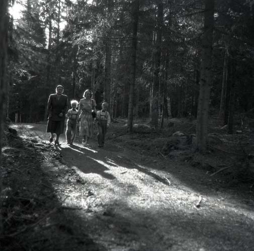 Det är en solig sommardag 8 juni 1952 och en kvinna har tagit med sina söner för att besöka deras mormor. Platsen är Ybsbo, Ljusdal och de fyra är på en promenad längs en skogsväg.