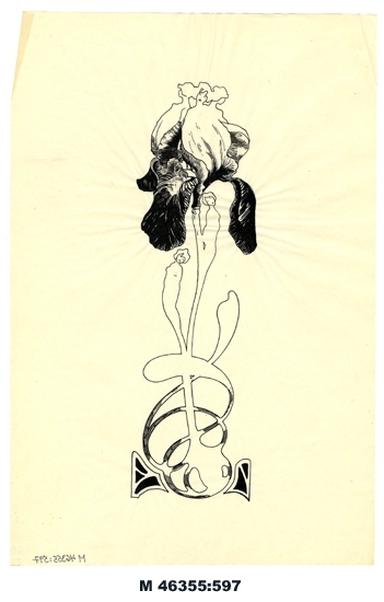 Tuschteckning på tunt papper.
Föreställer en iris, med stjälk och blomblad i form av nakna kvinnor.
(Trol. skiss från något engelskt magasin) .