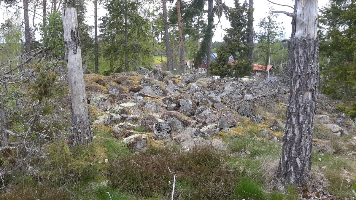 Arkeologisk utredning, Målsta, röse Raä 98, Husby-Långhundra socken, Uppland 2015