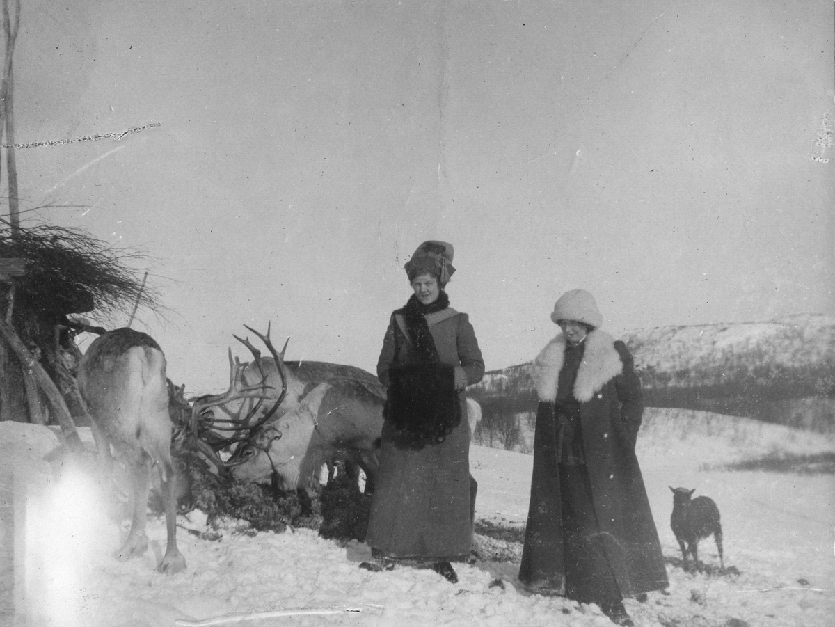 To kvinner i vinterbekledning oppstilt ved siden av flere reinsdyr. Kvinnen til venstre i bildet er 